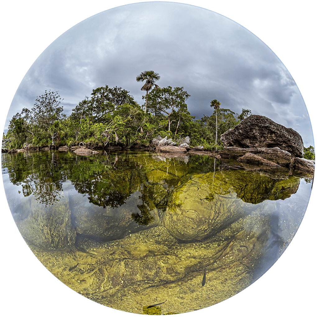 Eternidad_Caño Cristales