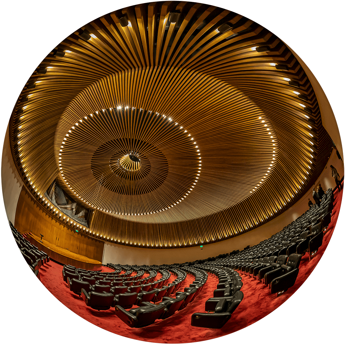 SALA DE CONCIERTOS BLAA