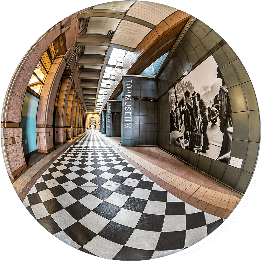 TOP MUSEUM_TOKIO_2018_ROBERTOLOMBANA