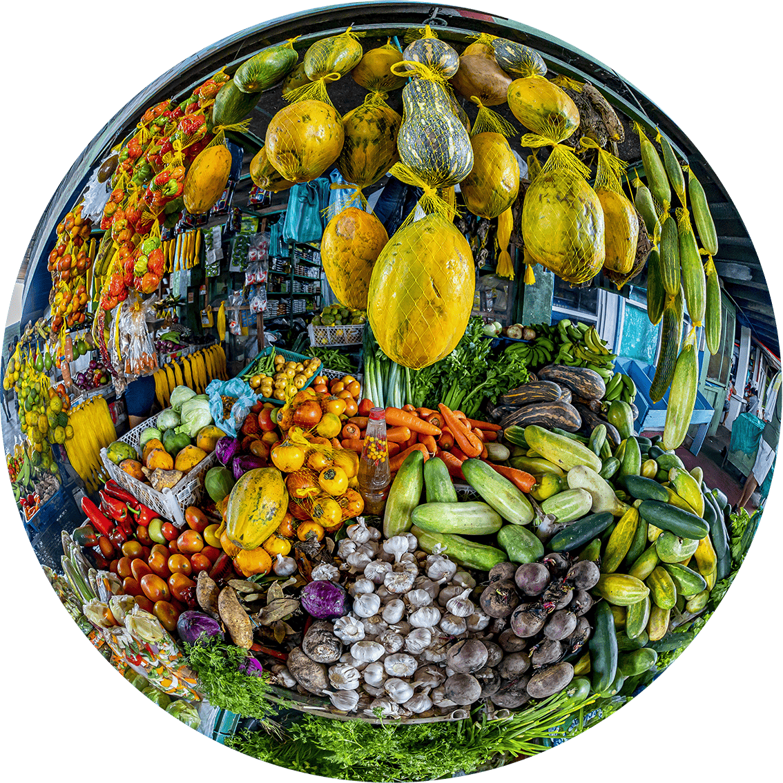 Abundancia_Colombia Naturalmente_Roberto Lombana