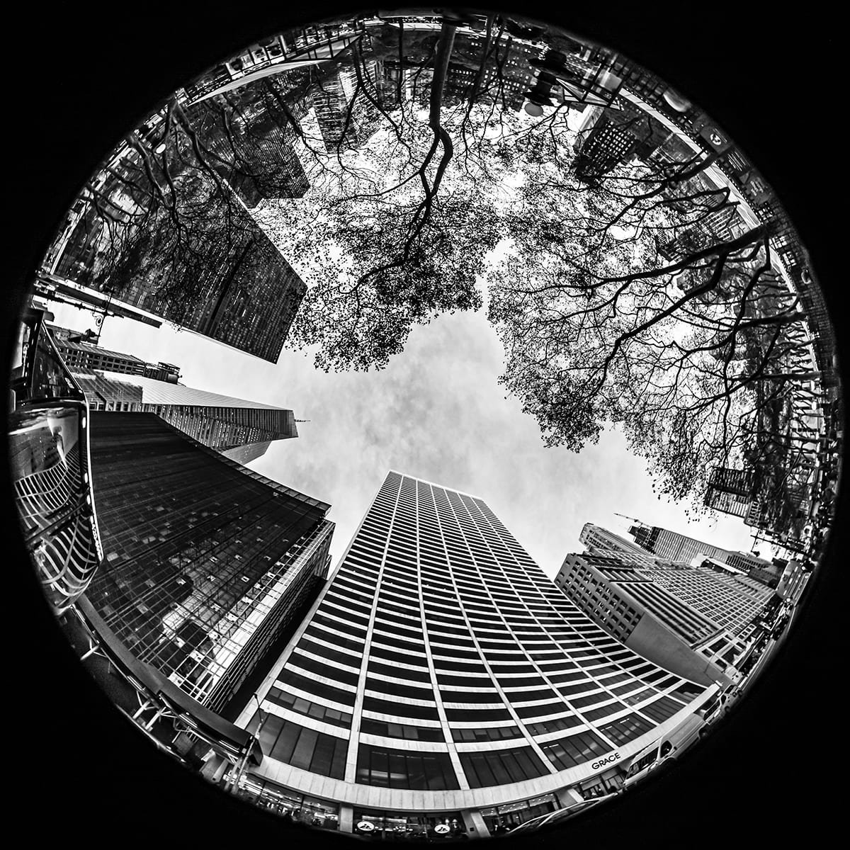 ROBERTO LOMBANA 42TH STREET